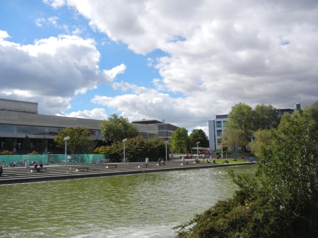 A sunnier memory of UCD's campus